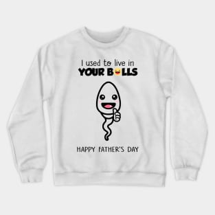 Boy Happy Father's Day I Used To Live In Your Balls Crewneck Sweatshirt